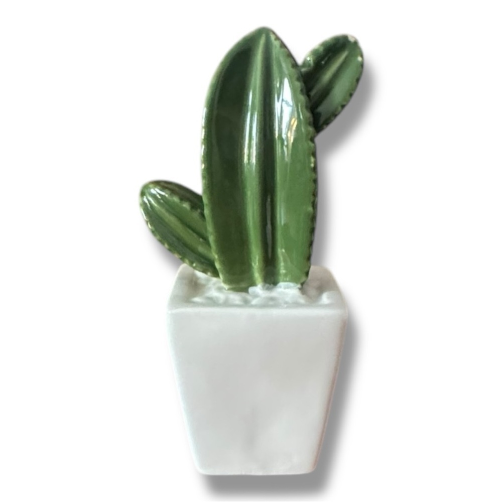 Cactus decor​ - Picture 3 of 3